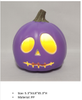 PP 5インチ パープルパンプキンモデルライト