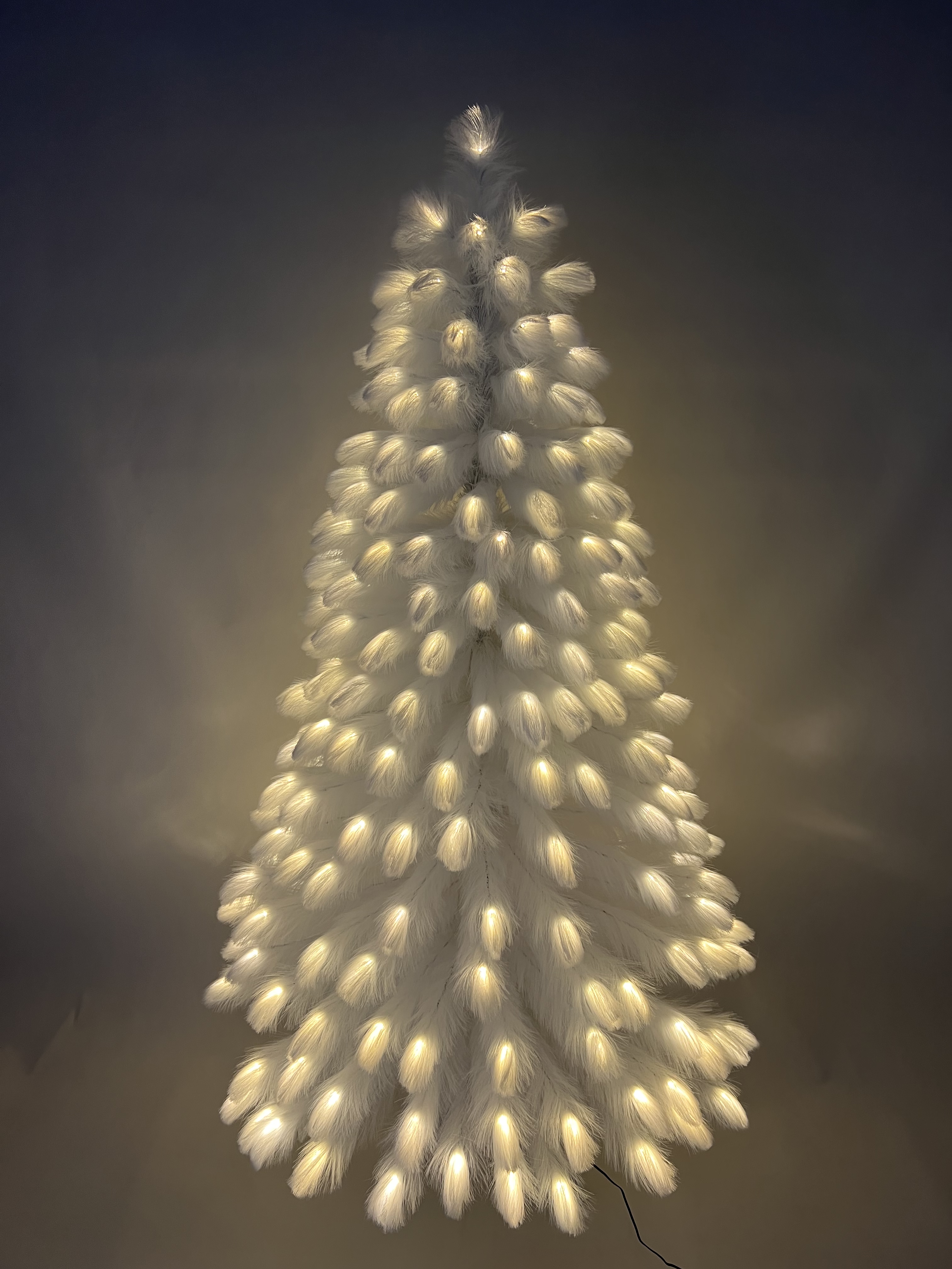 アシの木ライト