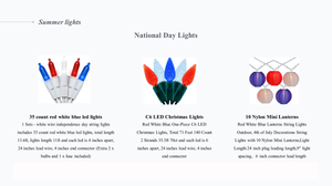 ナショナルデイライト