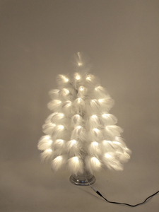 アシの木ライト