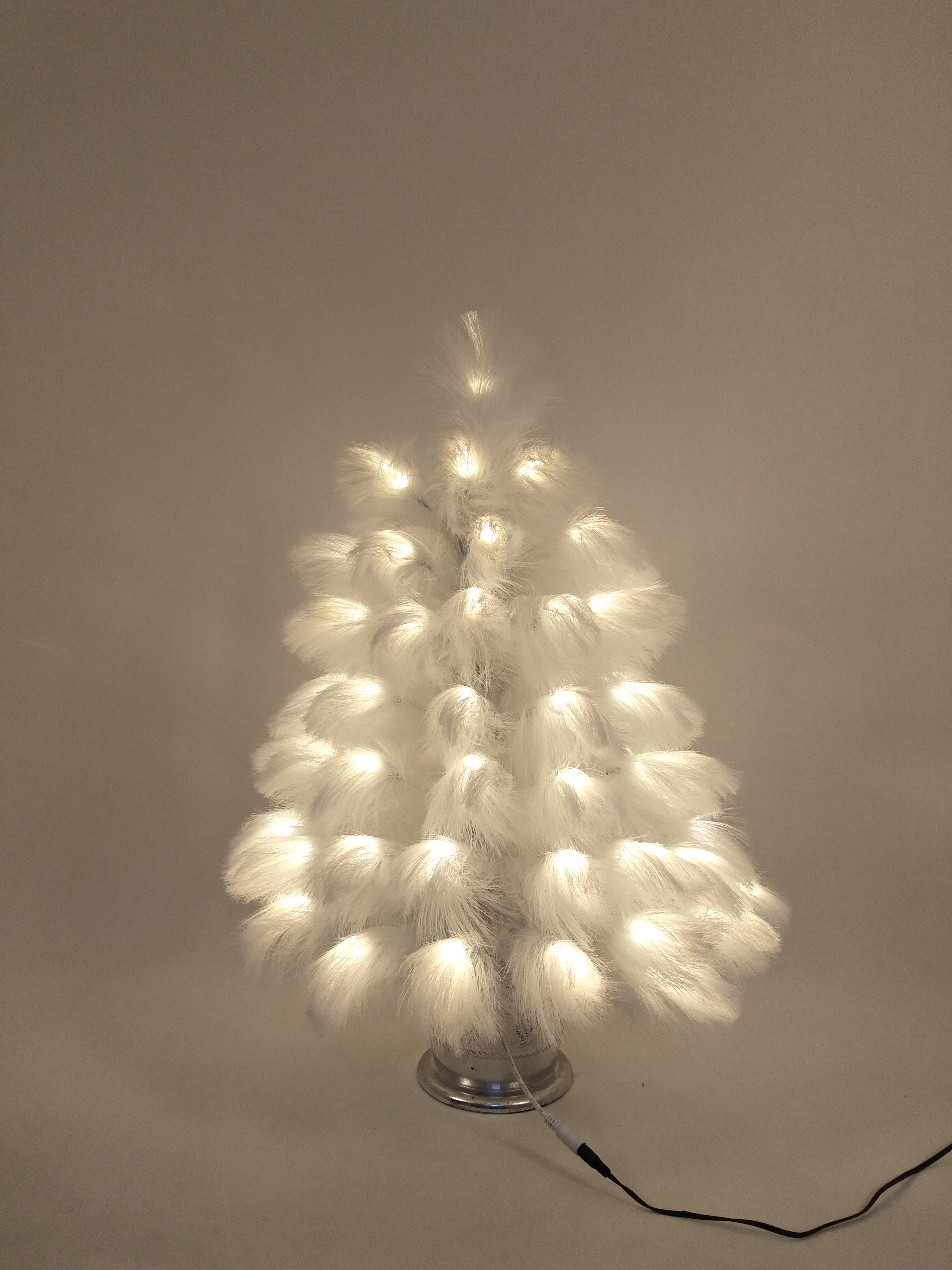 アシの木ライト