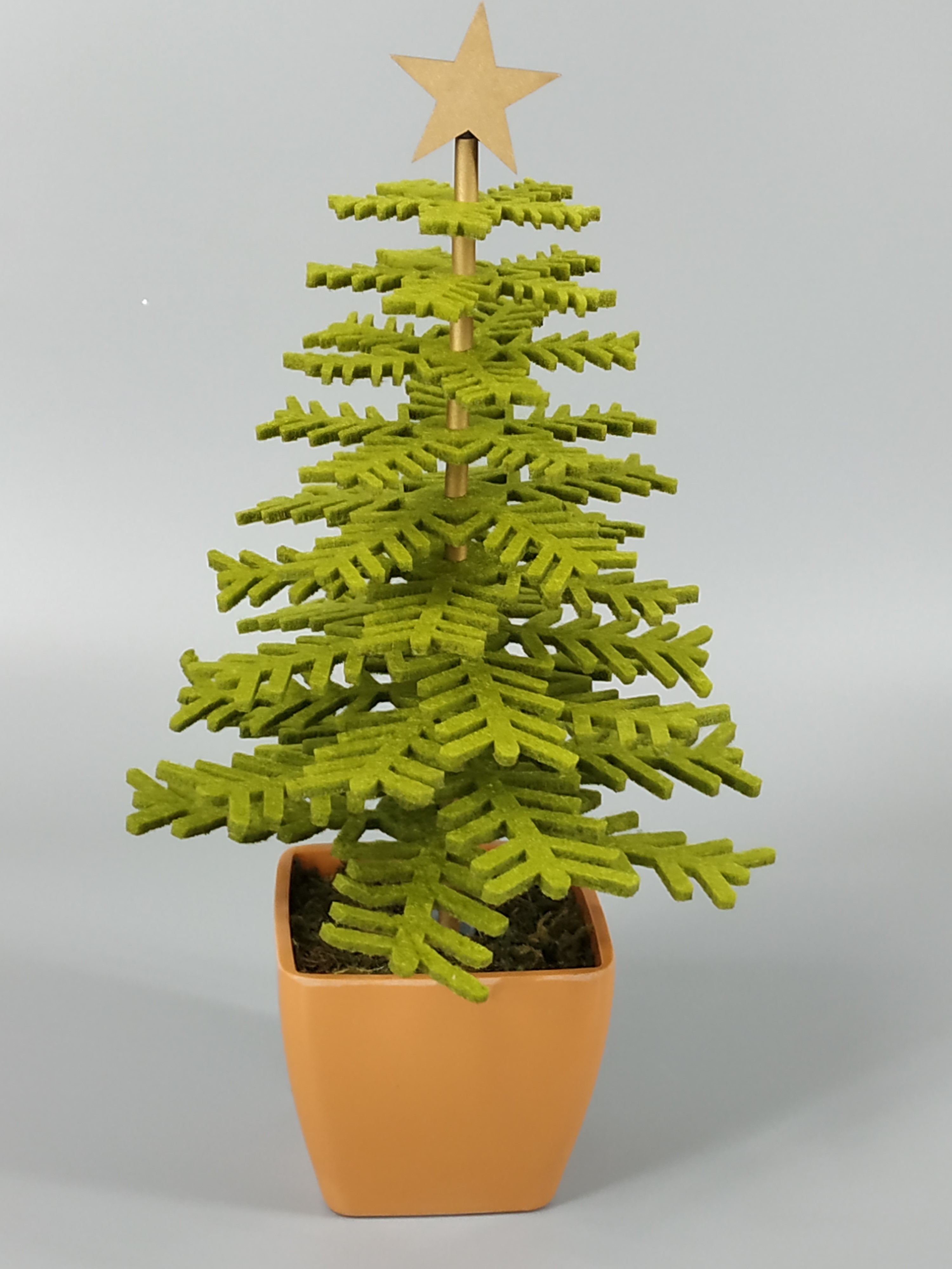 X'mas グリーンミニツリー+ギルタートップスター - 19